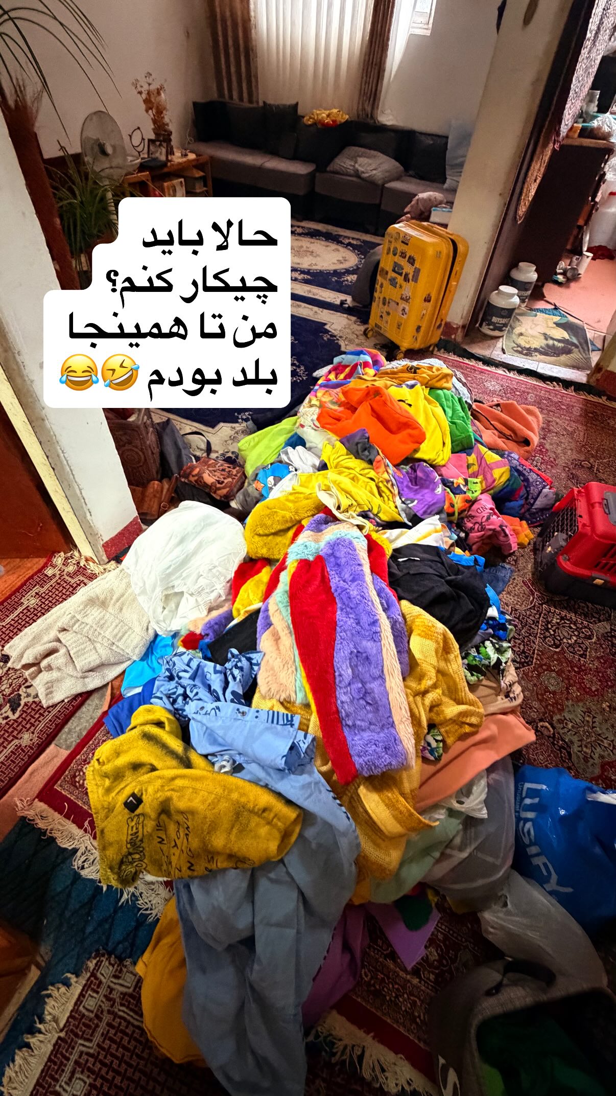  جدید ترین استوری اینستاگرام محمد نقدی