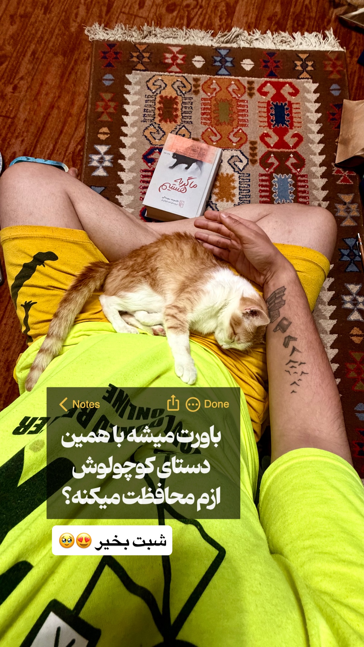  جدید ترین استوری اینستاگرام محمد نقدی