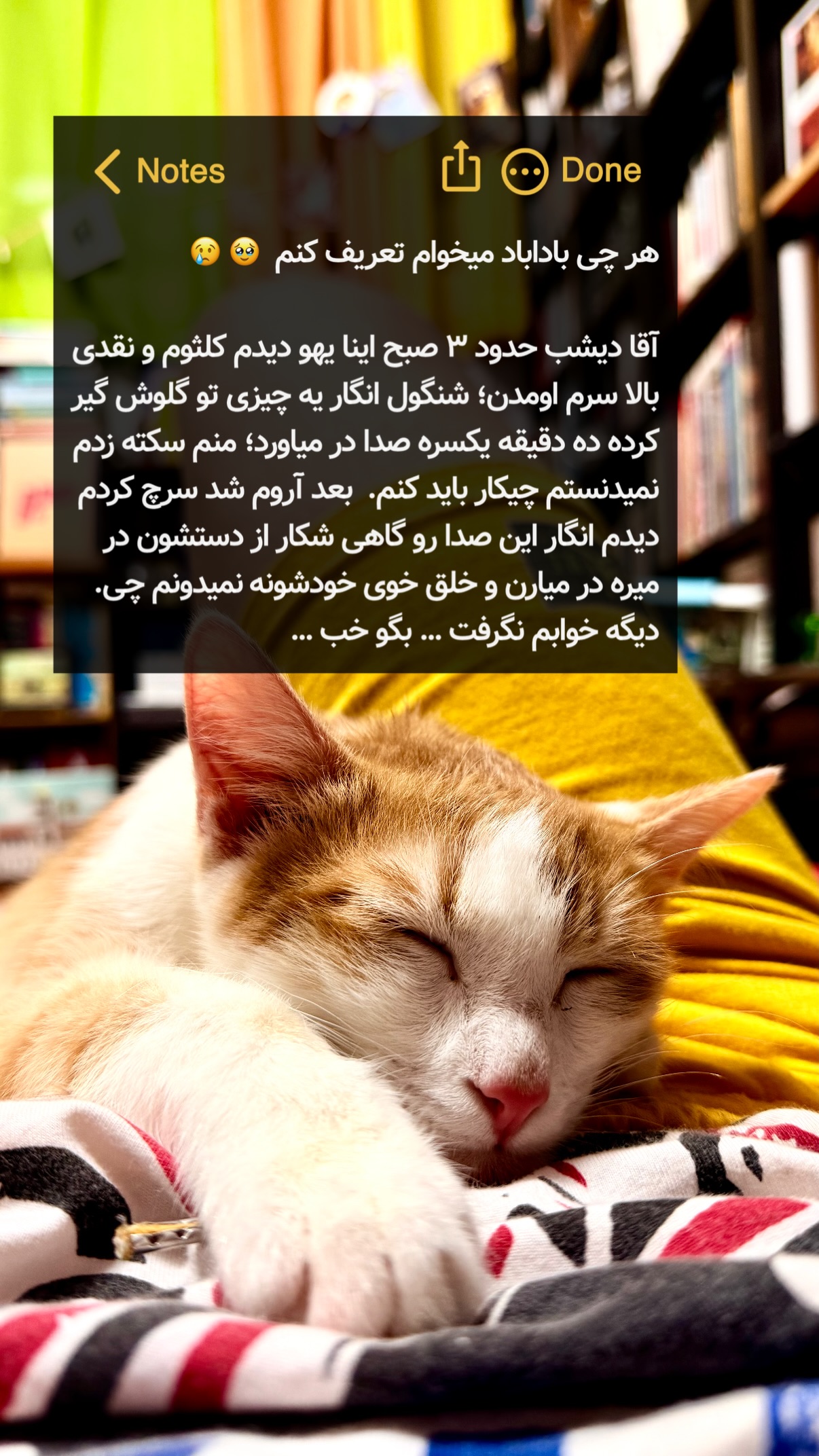  جدید ترین استوری اینستاگرام محمد نقدی