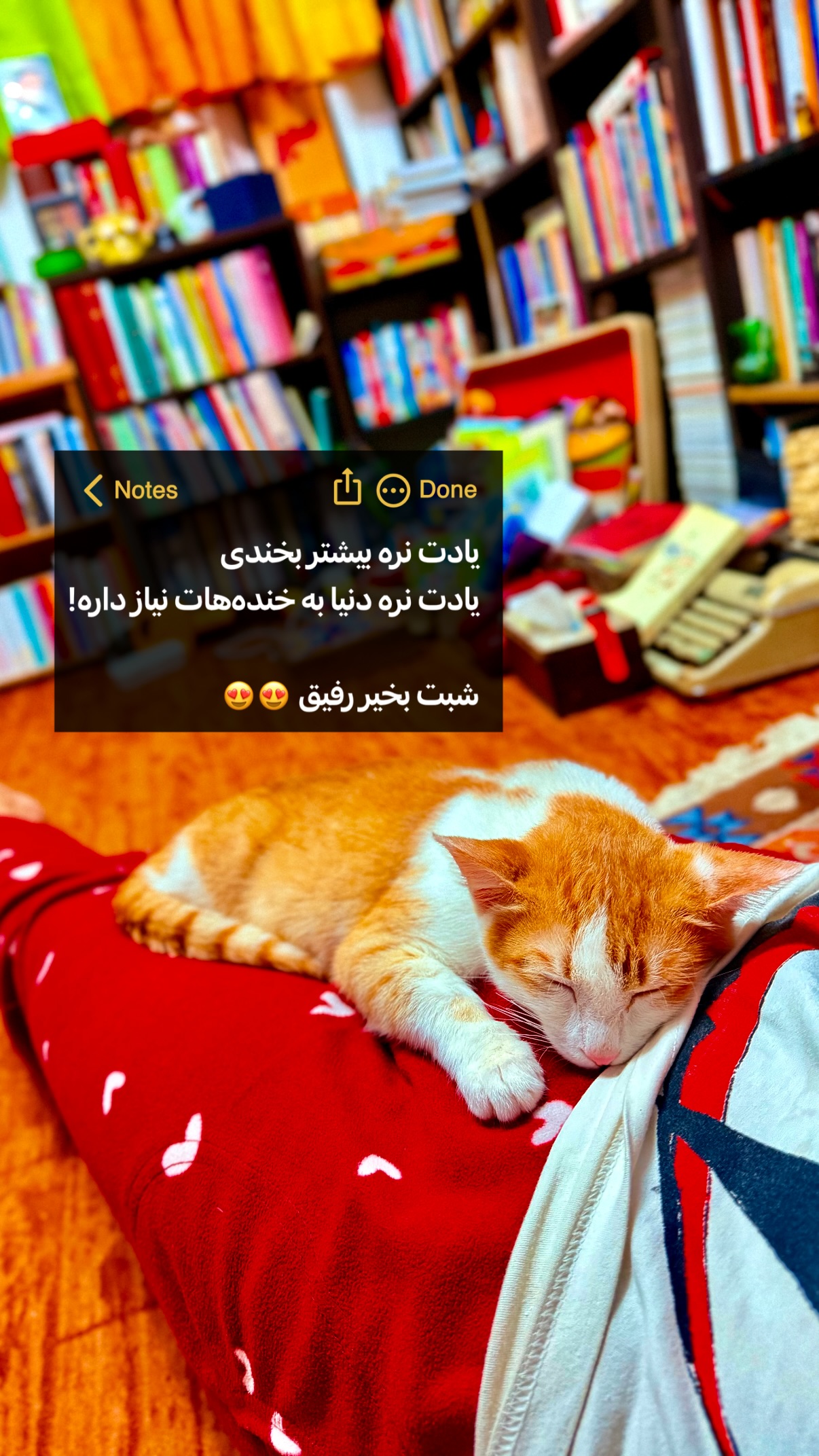  جدید ترین استوری اینستاگرام محمد نقدی