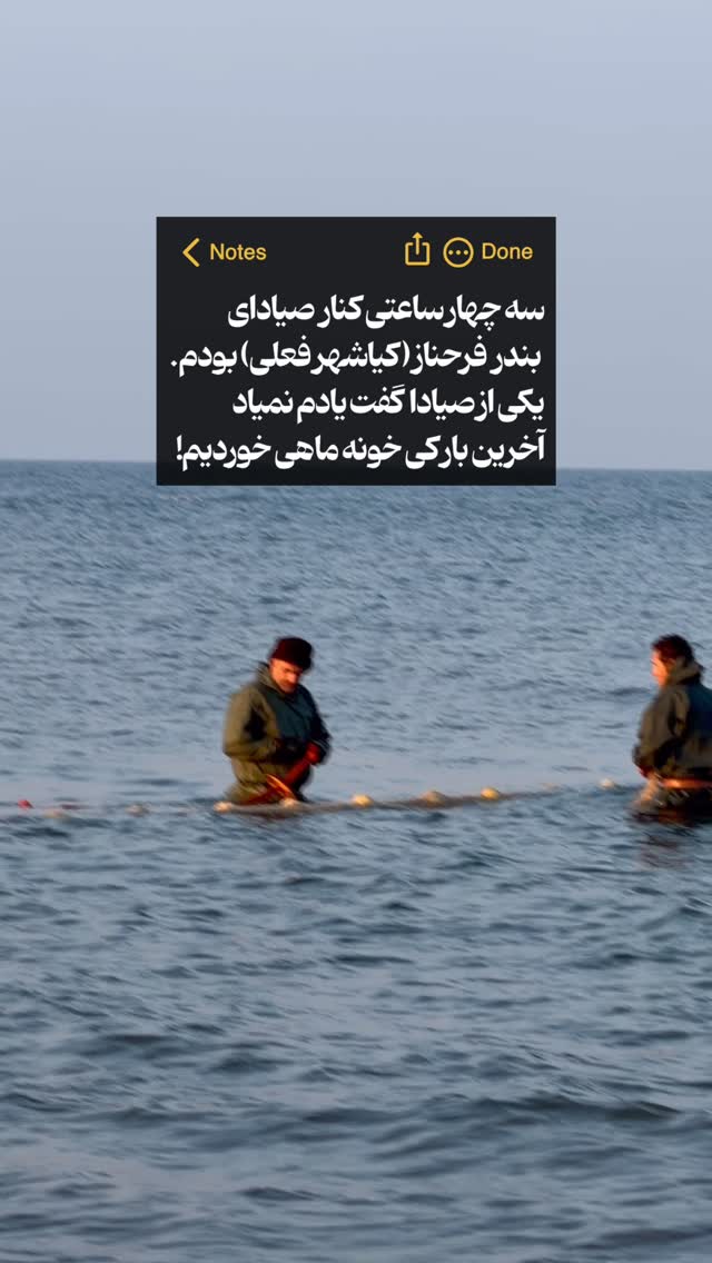  جدید ترین استوری اینستاگرام محمد نقدی