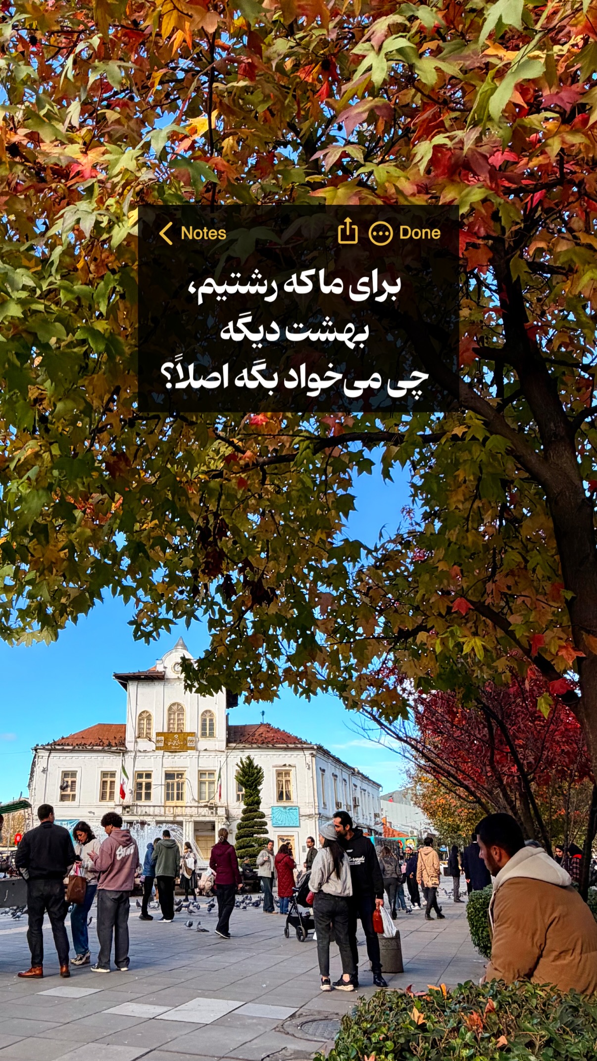  جدید ترین استوری اینستاگرام محمد نقدی