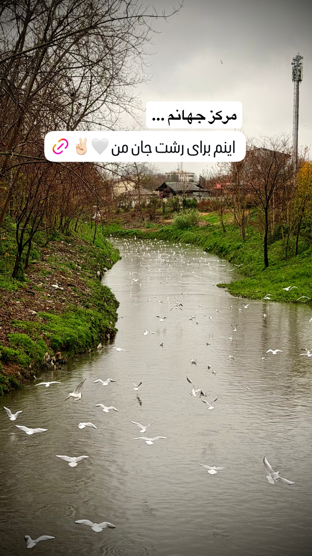  جدید ترین استوری اینستاگرام محمد نقدی