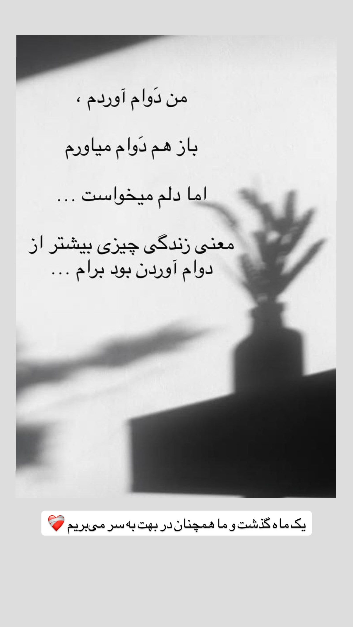  جدید ترین استوری اینستاگرام محمد نقدی