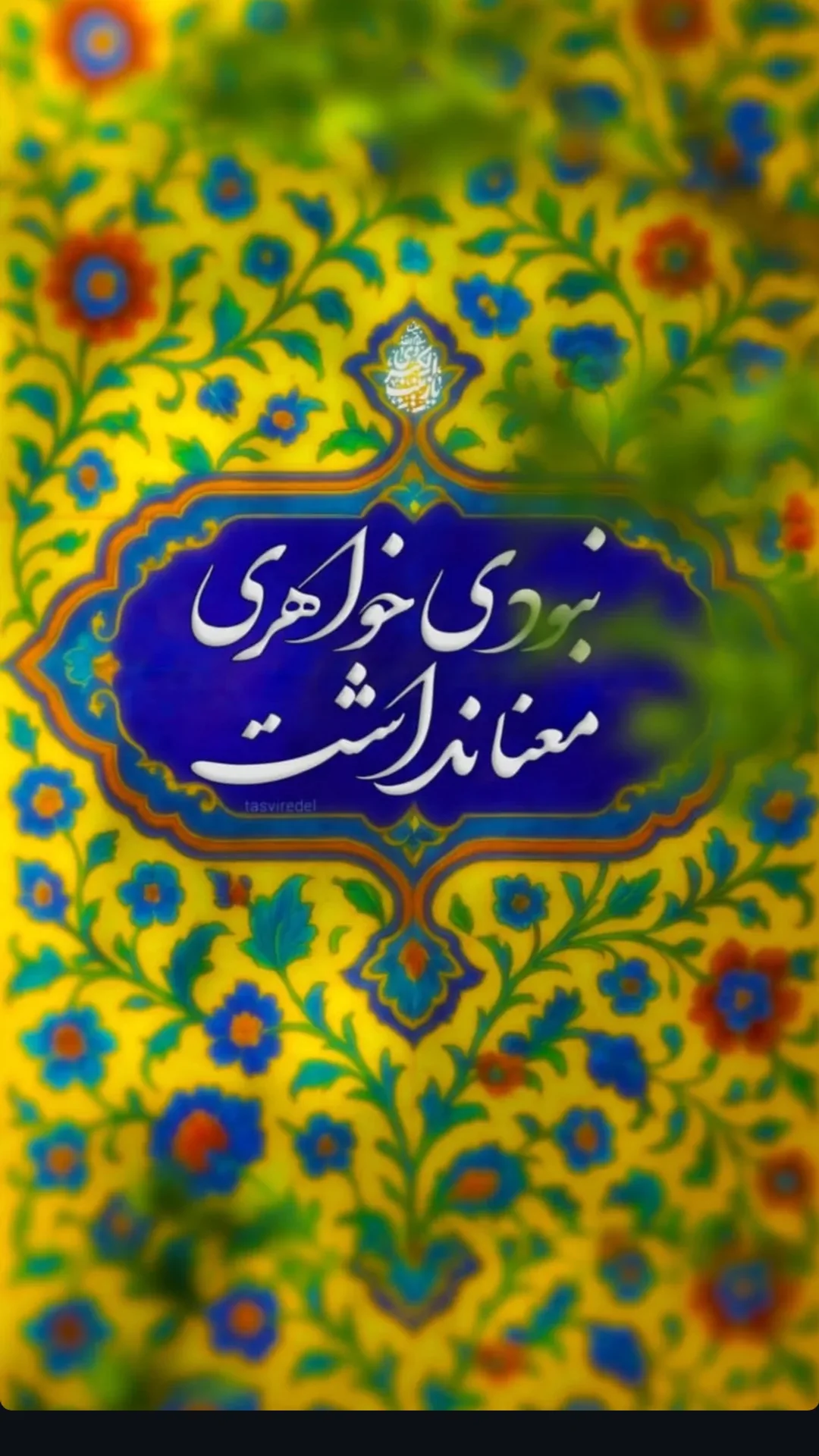  جدید ترین استوری اینستاگرام محمد پورصباغيان