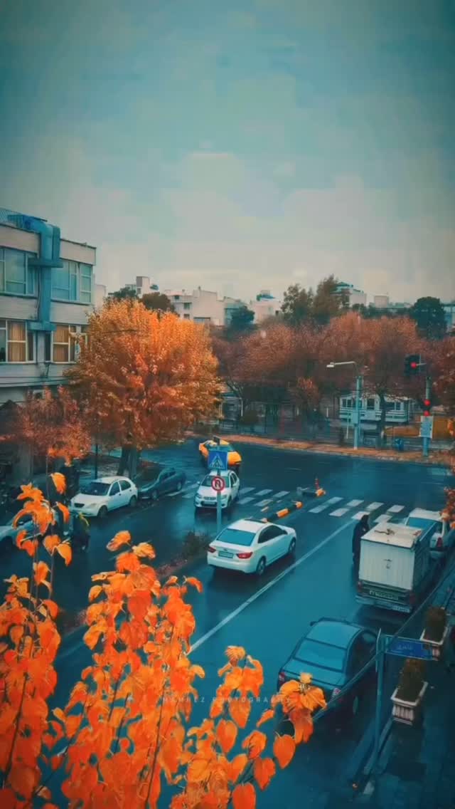  جدید ترین استوری اینستاگرام محمدرضا شفیعی