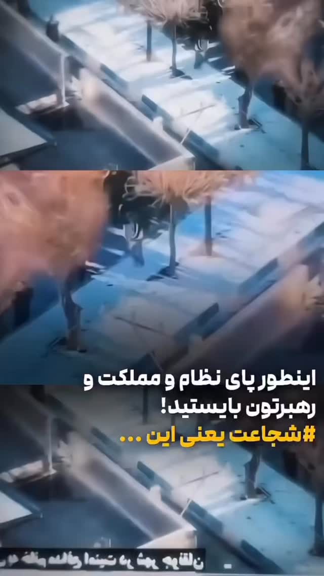  جدید ترین استوری اینستاگرام محمدرضا شفیعی