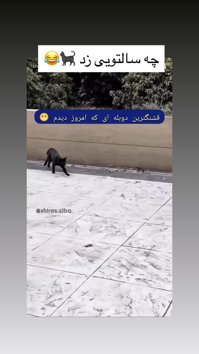  جدید ترین استوری اینستاگرام محمد رضا گرایی