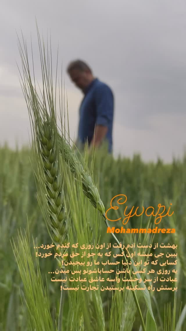  جدید ترین استوری اینستاگرام محمّدرضاعیوضی