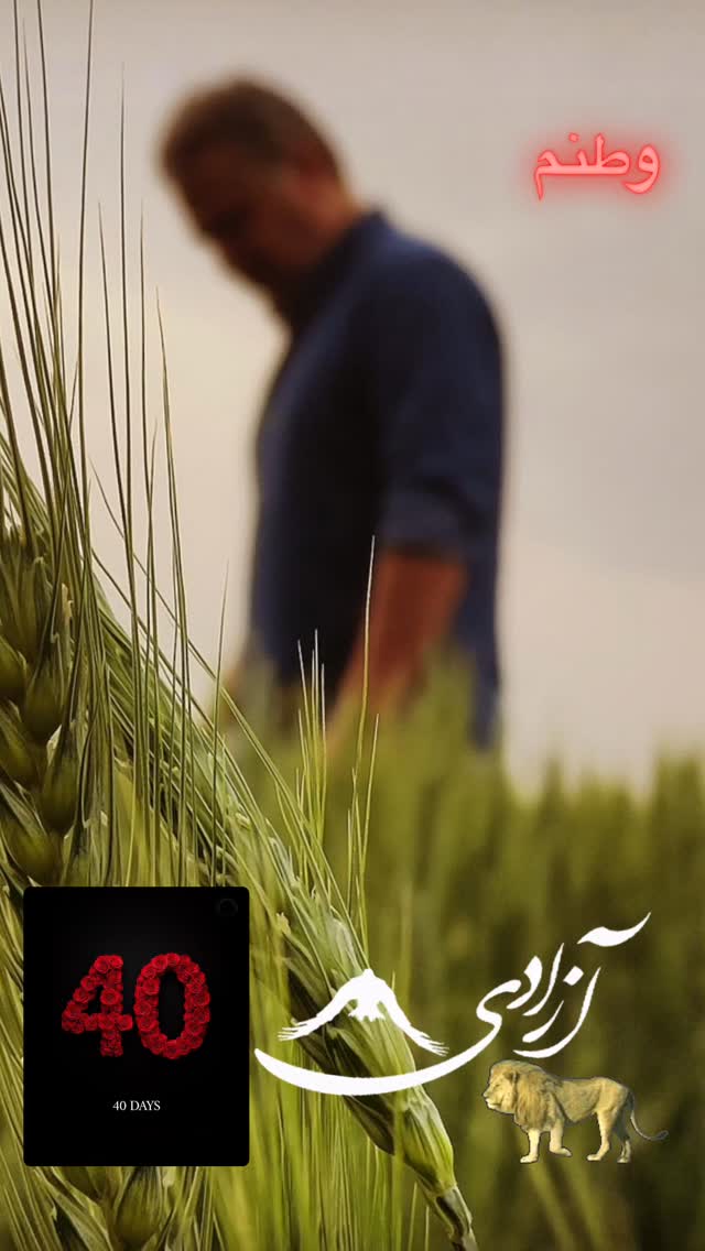  جدید ترین استوری اینستاگرام محمّدرضاعیوضی