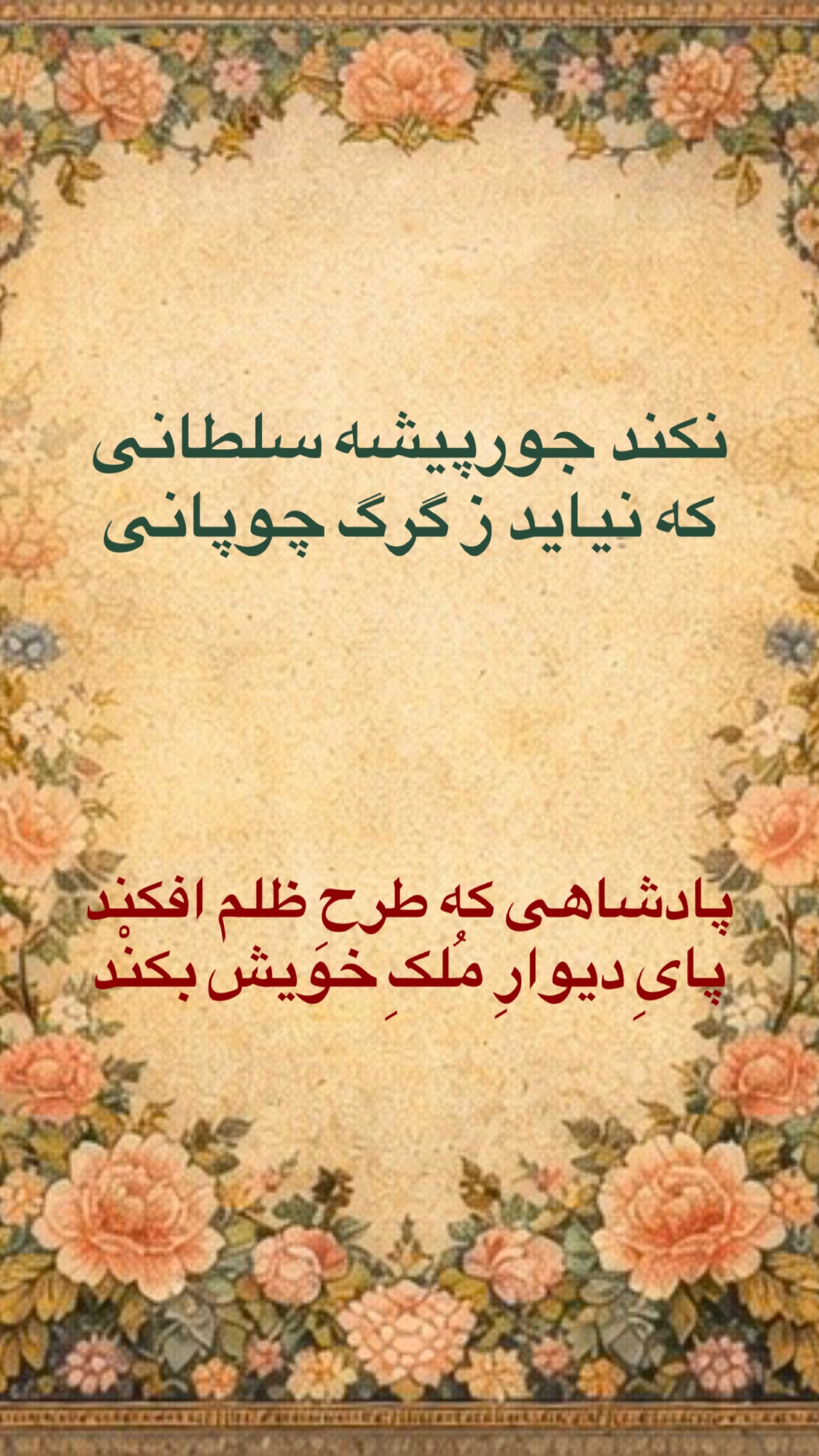  جدید ترین استوری اینستاگرام محمد صوفی