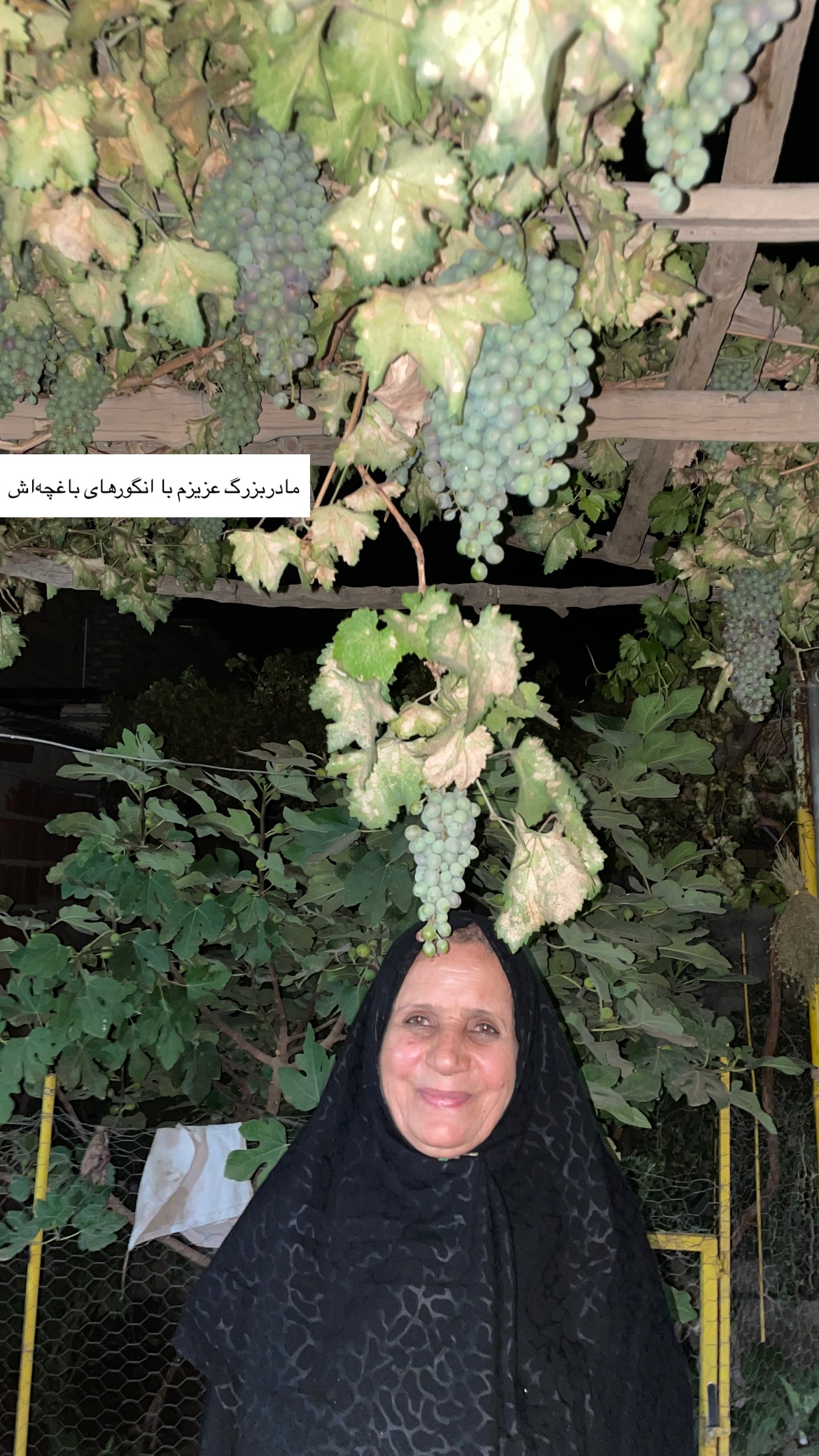  جدید ترین استوری اینستاگرام محمد زاهدی