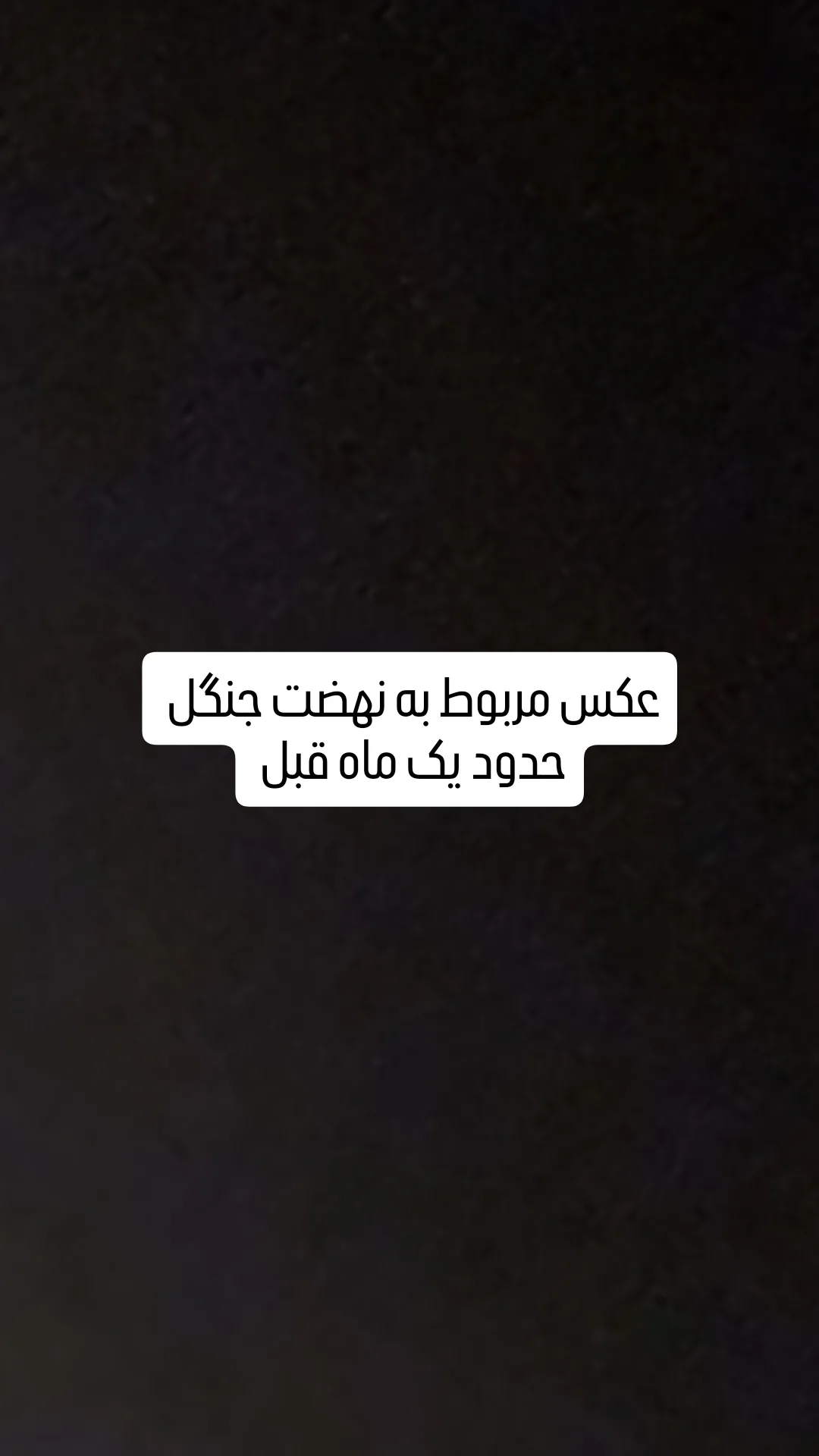  جدید ترین استوری اینستاگرام محمد حسين زيكساري