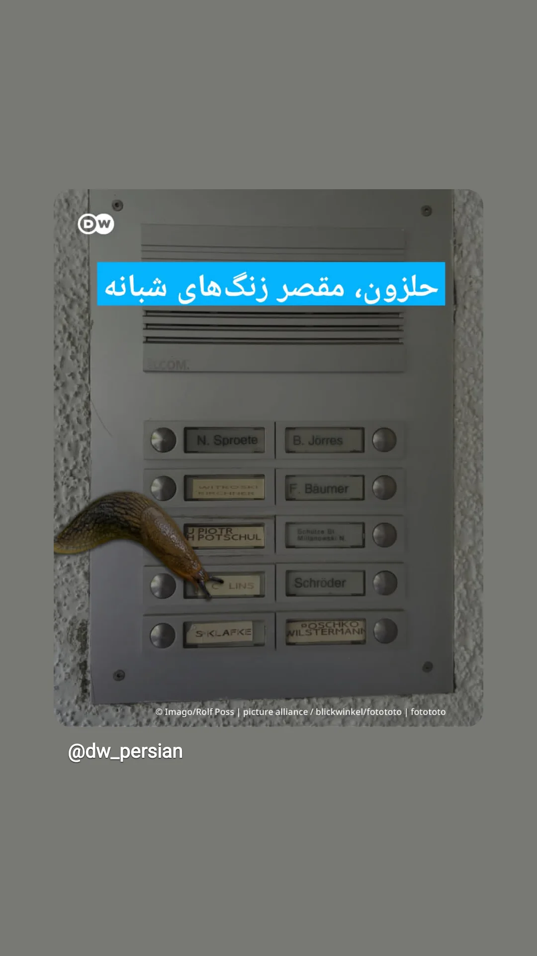  جدید ترین استوری اینستاگرام محمد حسين زيكساري