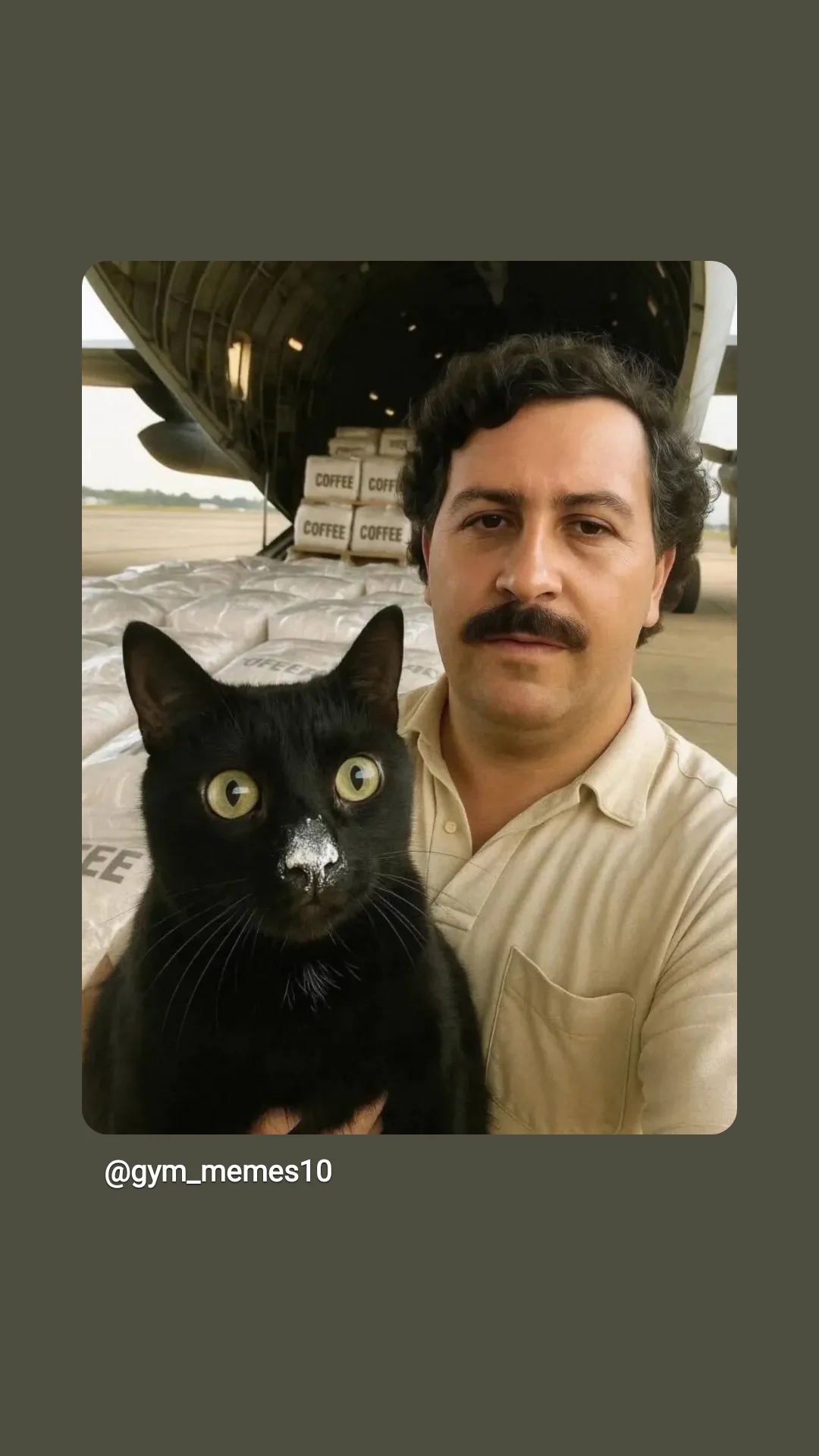  جدید ترین استوری اینستاگرام محمد حسين زيكساري