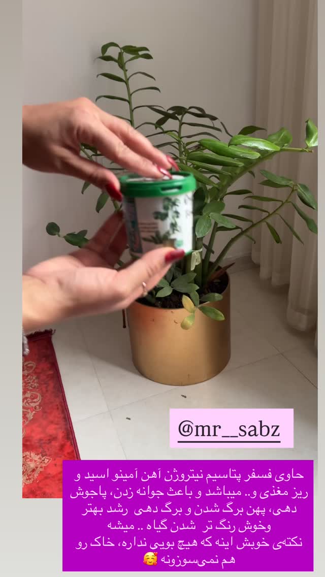  جدید ترین استوری اینستاگرام محی