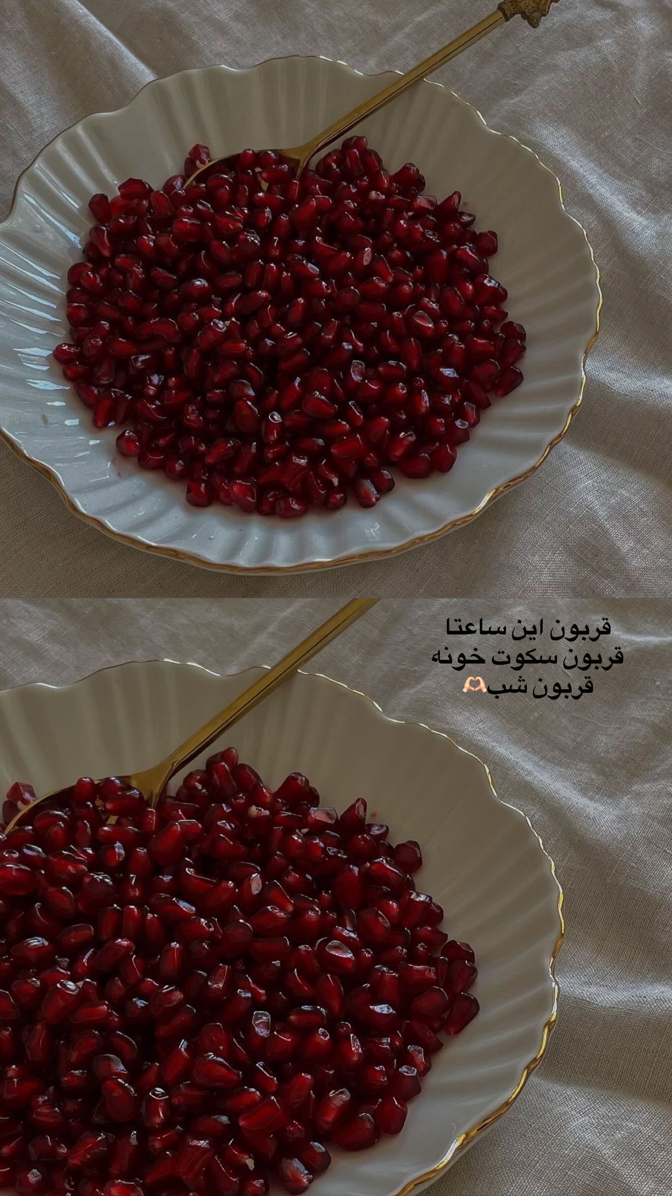  جدید ترین استوری اینستاگرام محی