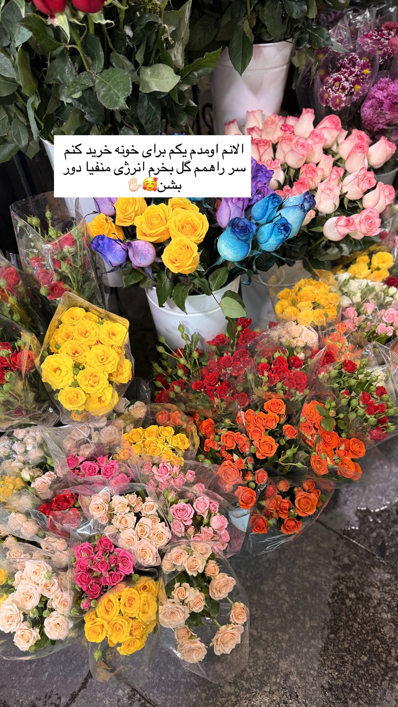  جدید ترین استوری اینستاگرام محی