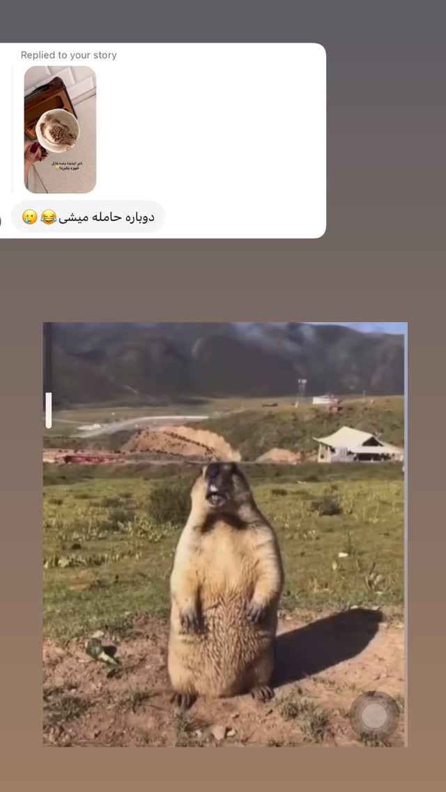  جدید ترین استوری اینستاگرام محی