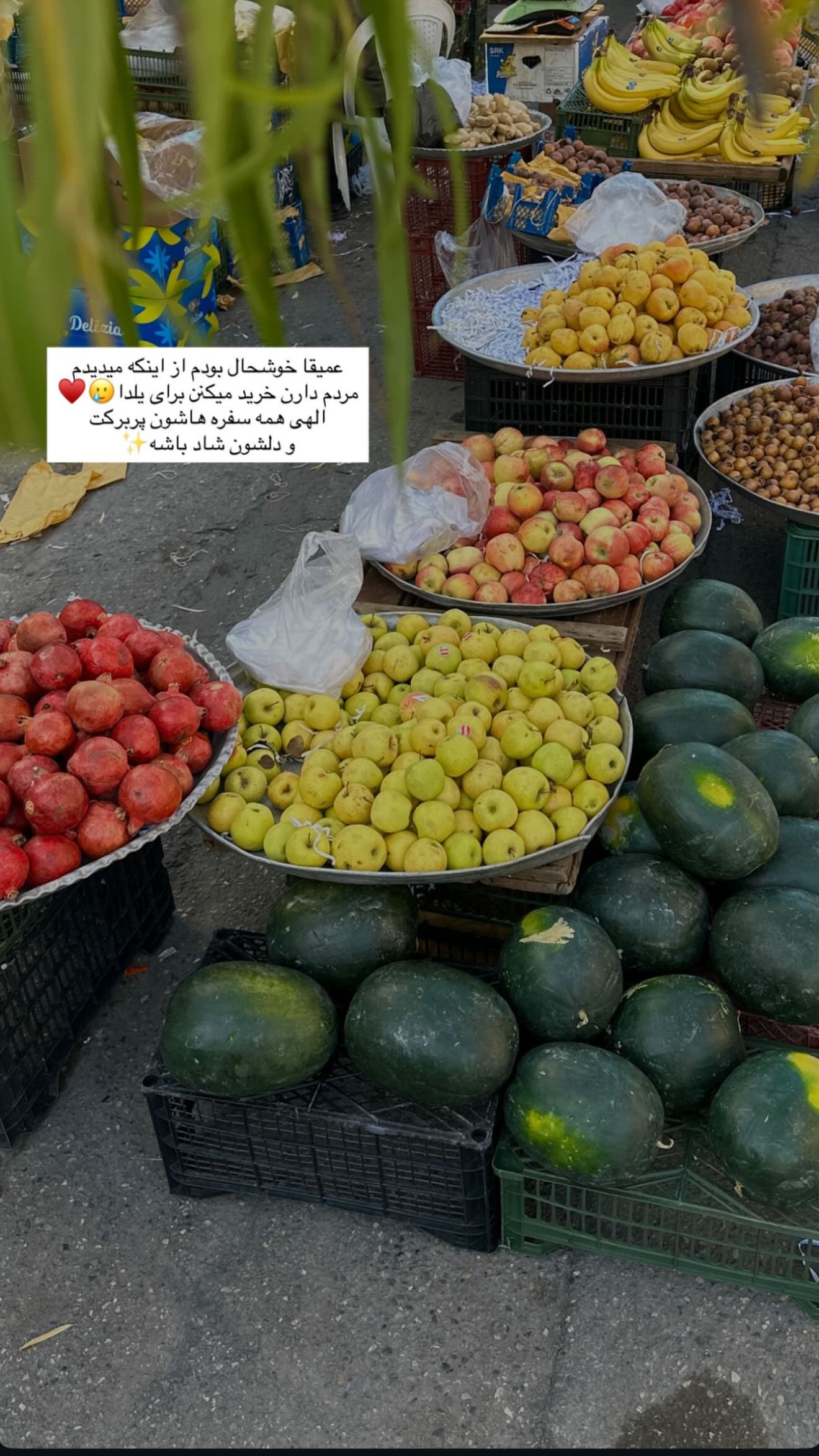  جدید ترین استوری اینستاگرام محی