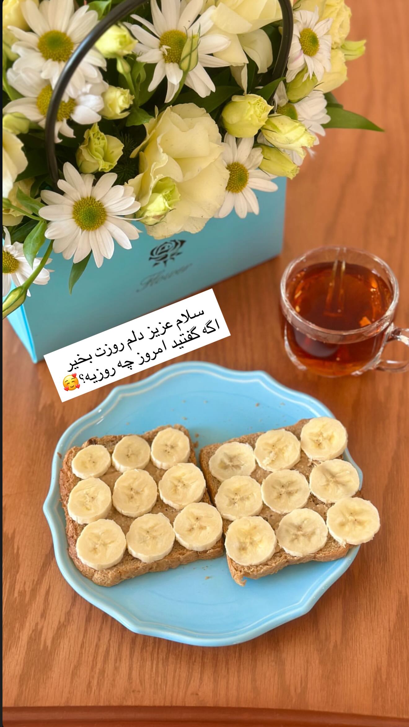  جدید ترین استوری اینستاگرام محی