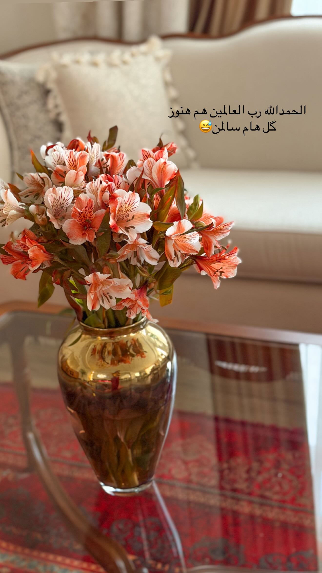  جدید ترین استوری اینستاگرام محی