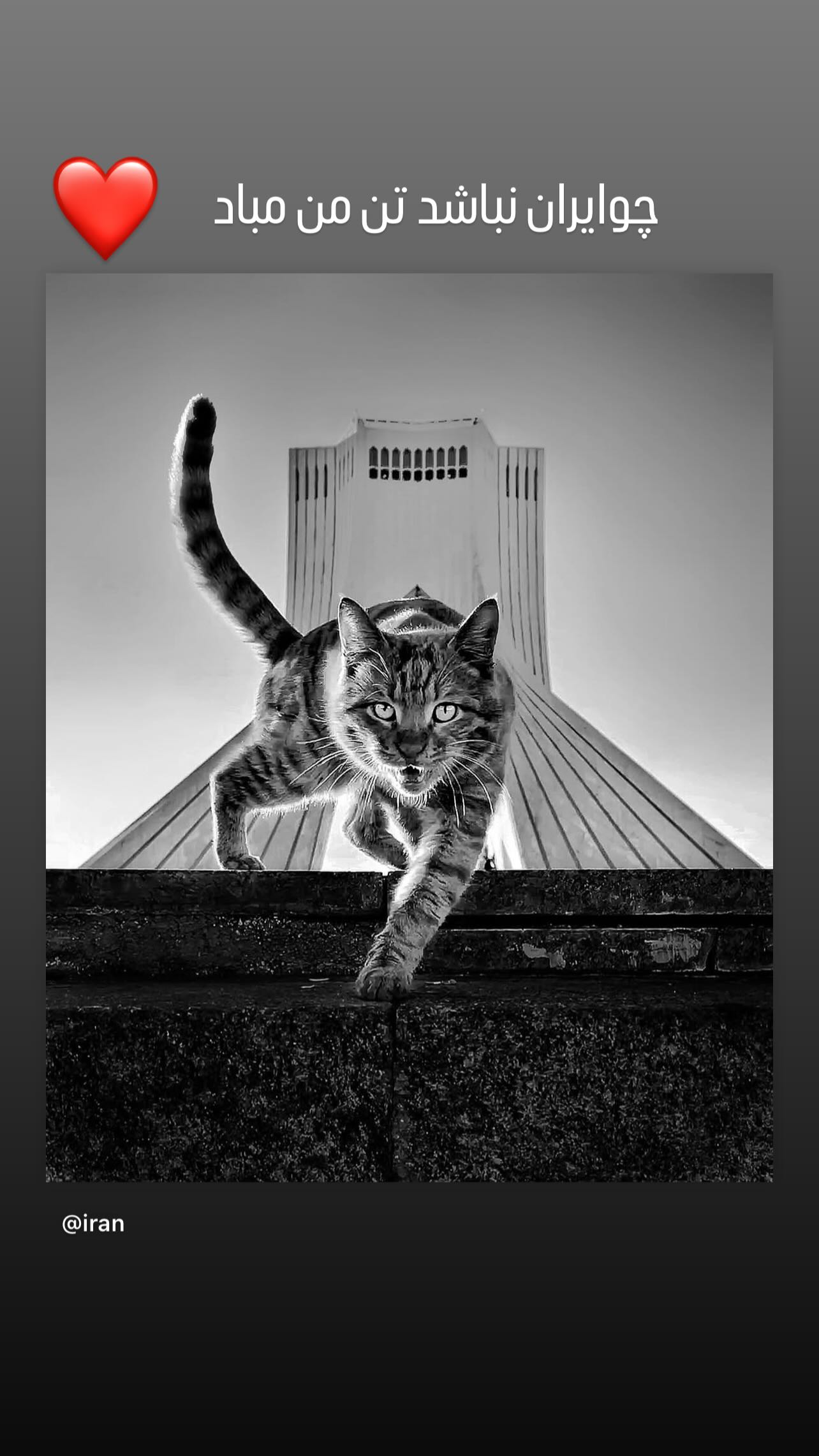 جدید ترین استوری اینستاگرام محسن بنگر