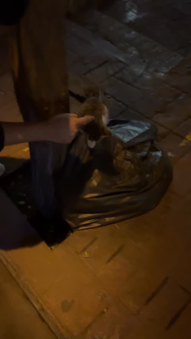  جدید ترین استوری اینستاگرام محسن متفکریان