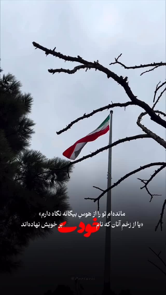  جدید ترین استوری اینستاگرام محسن روشندل