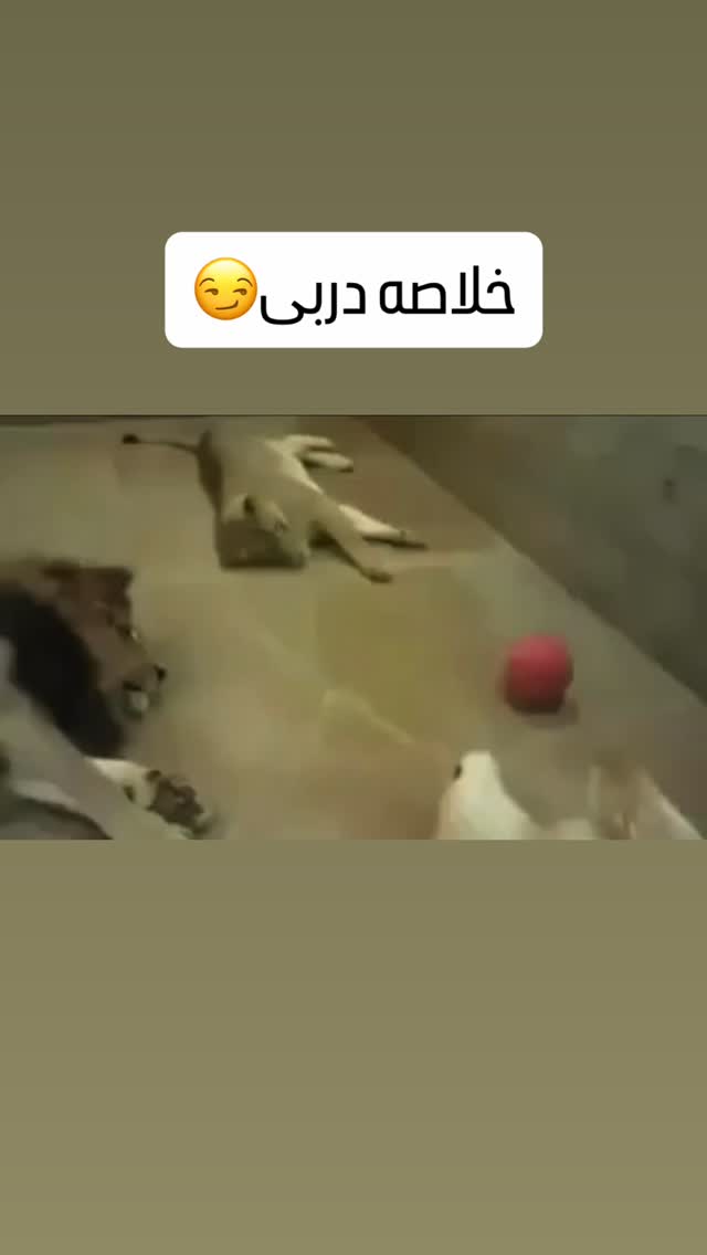  جدید ترین استوری اینستاگرام محسن بروفر
