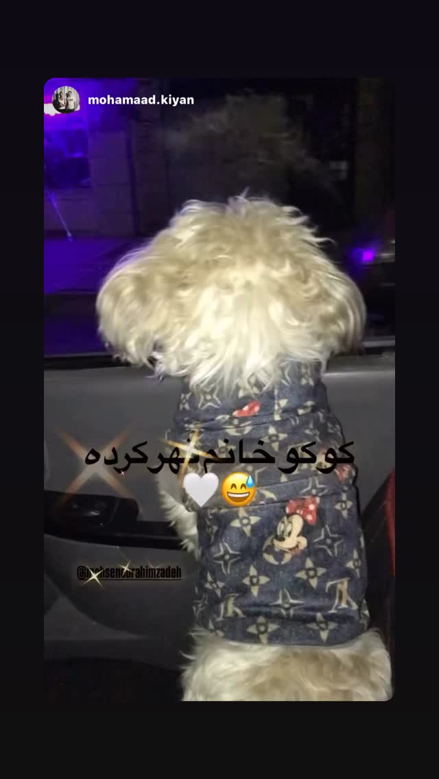  جدید ترین استوری اینستاگرام محسن ابراهیم زاده