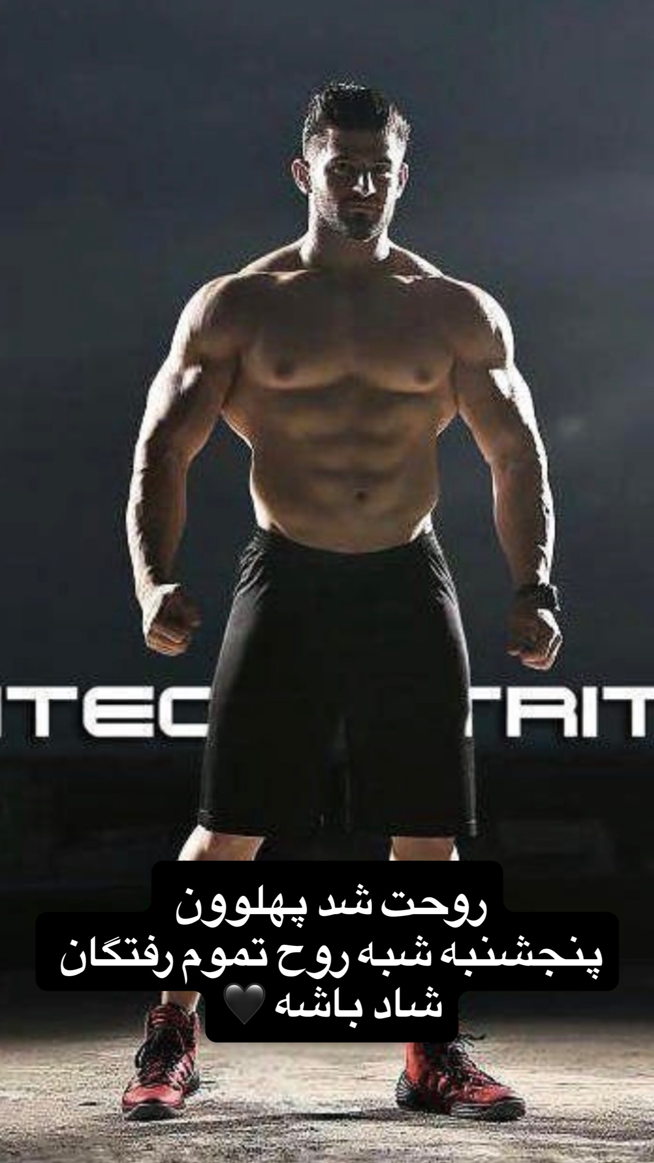  جدید ترین استوری اینستاگرام محسن كردعليوند