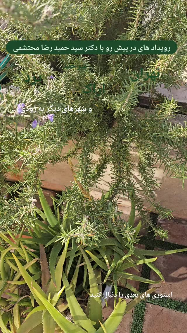  جدید ترین استوری اینستاگرام سید حمید رضا محتشمی