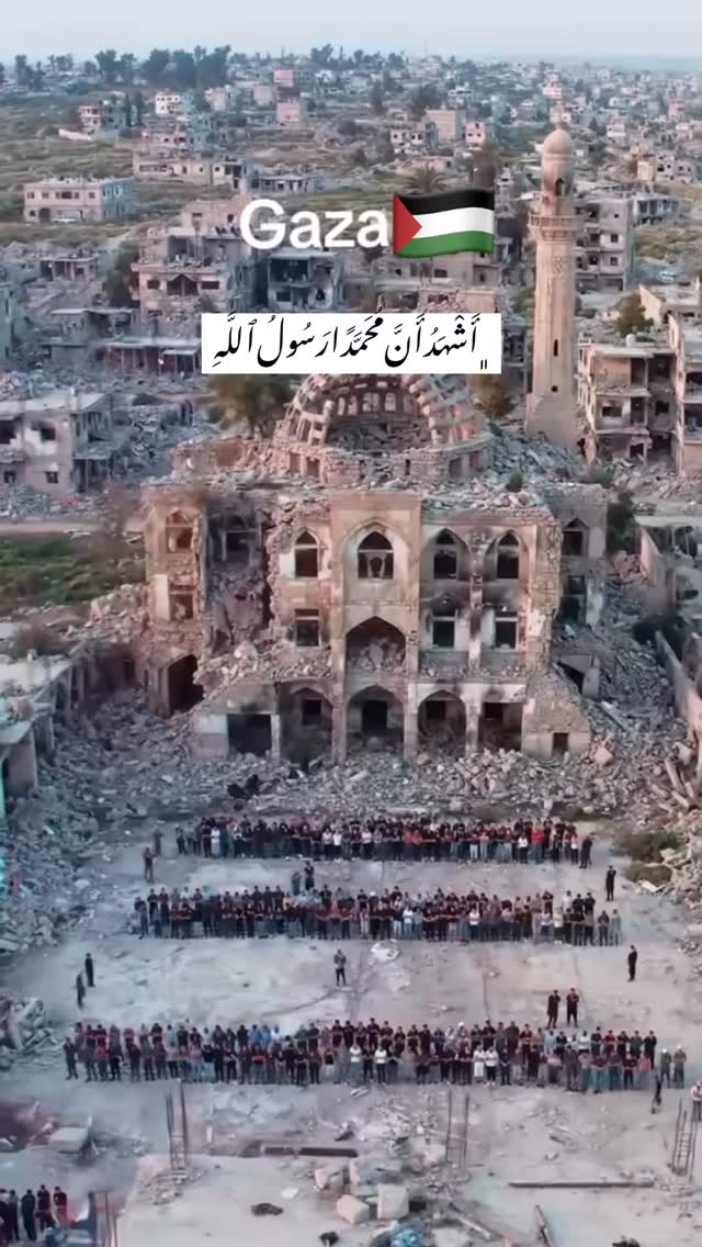  جدید ترین استوری اینستاگرام مجال
