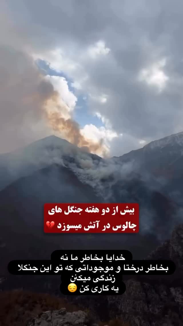  جدید ترین استوری اینستاگرام مجتبی شفیعی