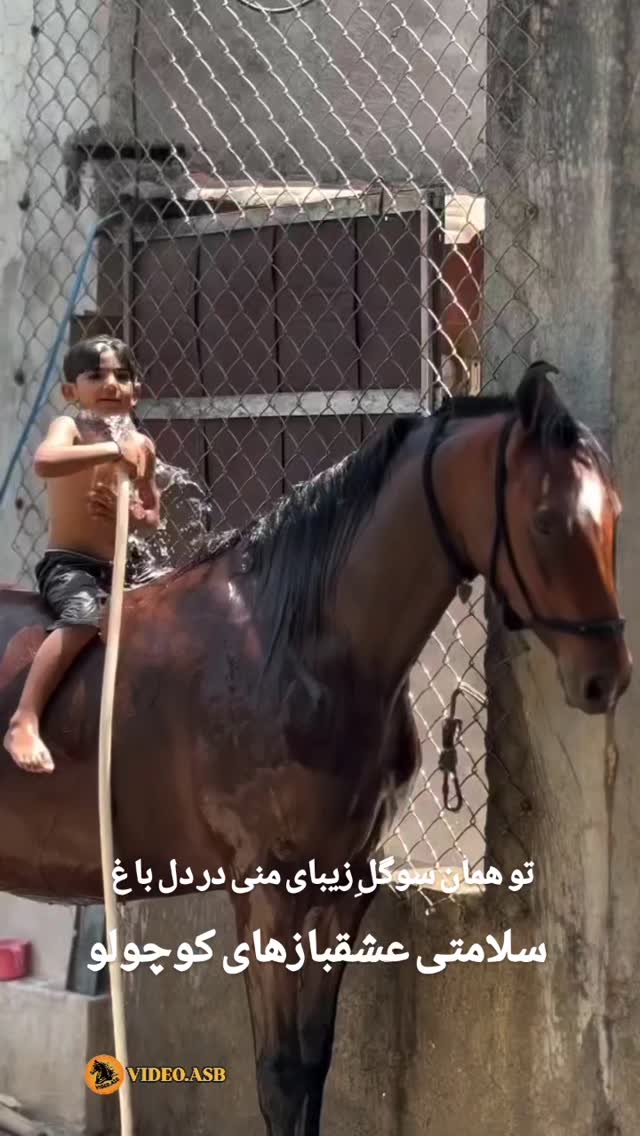  جدید ترین استوری اینستاگرام مختار سائقی