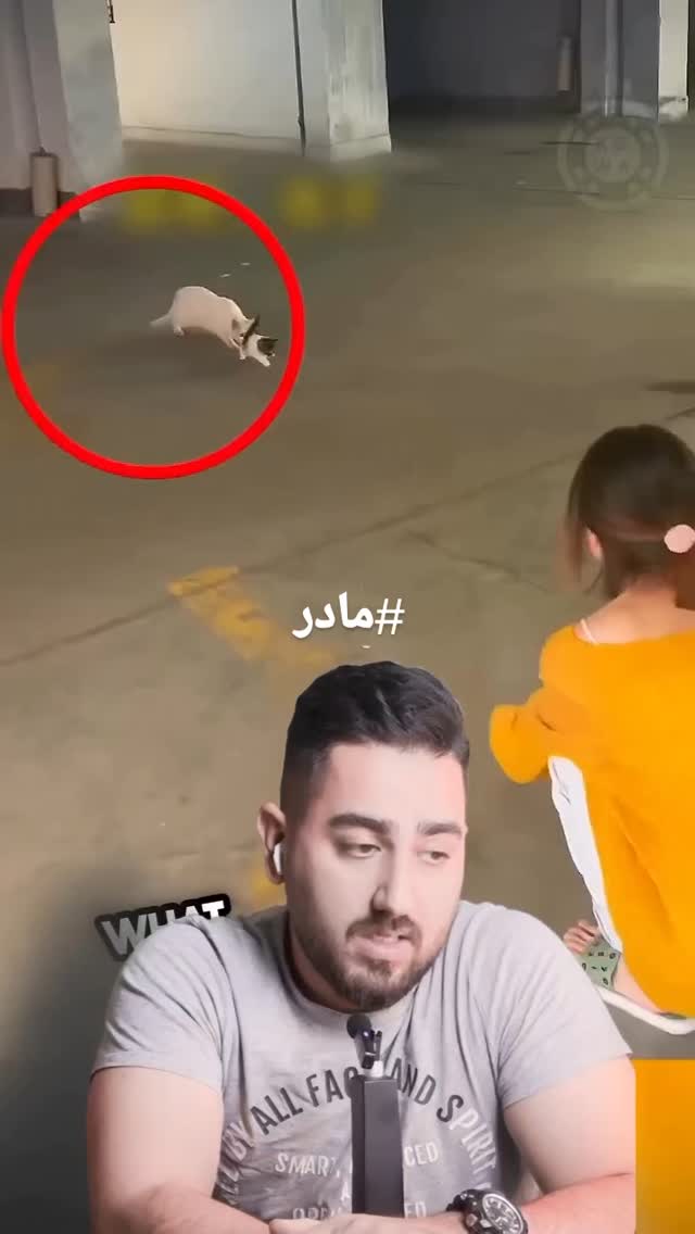  جدید ترین استوری اینستاگرام مختار سائقی
