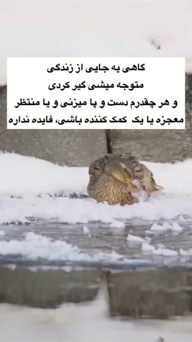  جدید ترین استوری اینستاگرام مختار سائقی