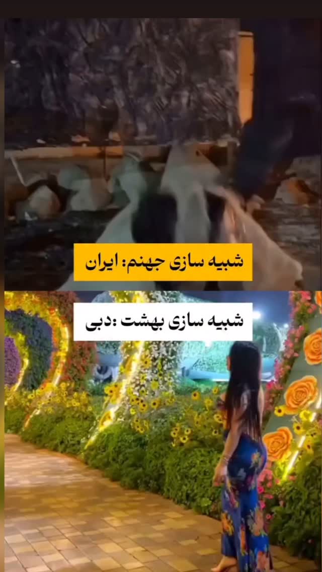  جدید ترین استوری اینستاگرام مختار سائقی