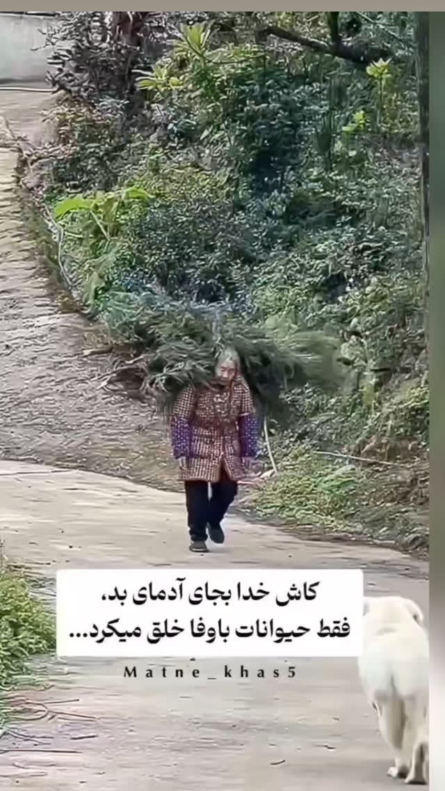  جدید ترین استوری اینستاگرام مختار سائقی