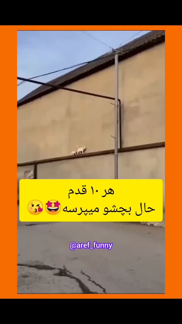  جدید ترین استوری اینستاگرام مختار سائقی