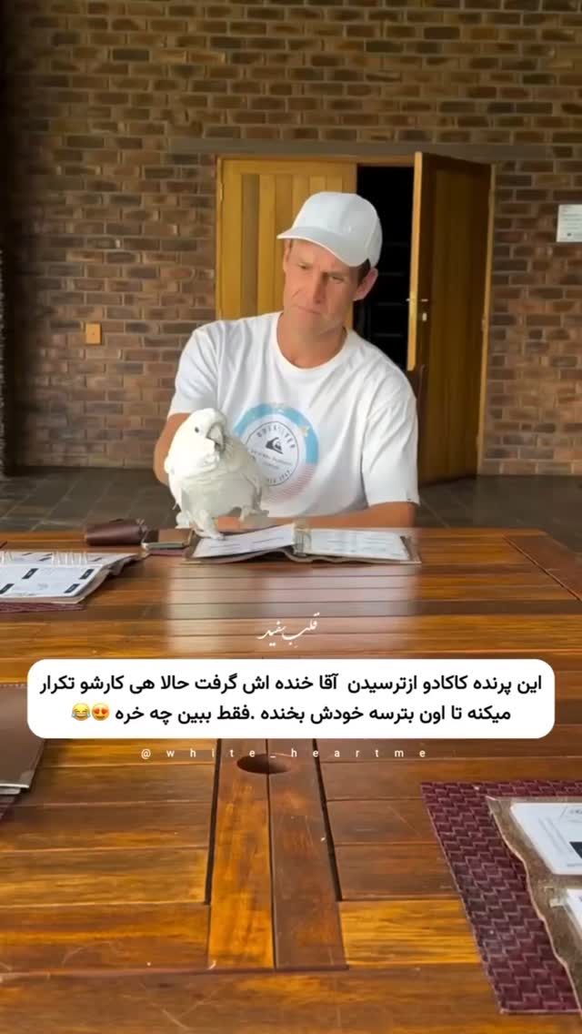  جدید ترین استوری اینستاگرام مختار سائقی