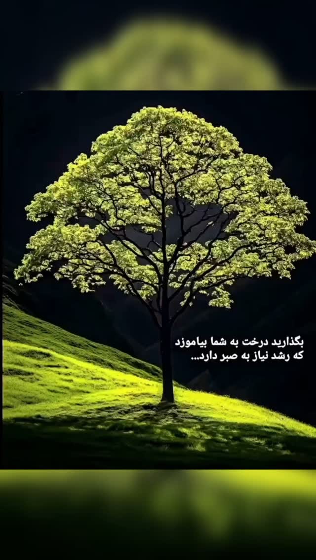 جدید ترین استوری اینستاگرام مختار سائقی
