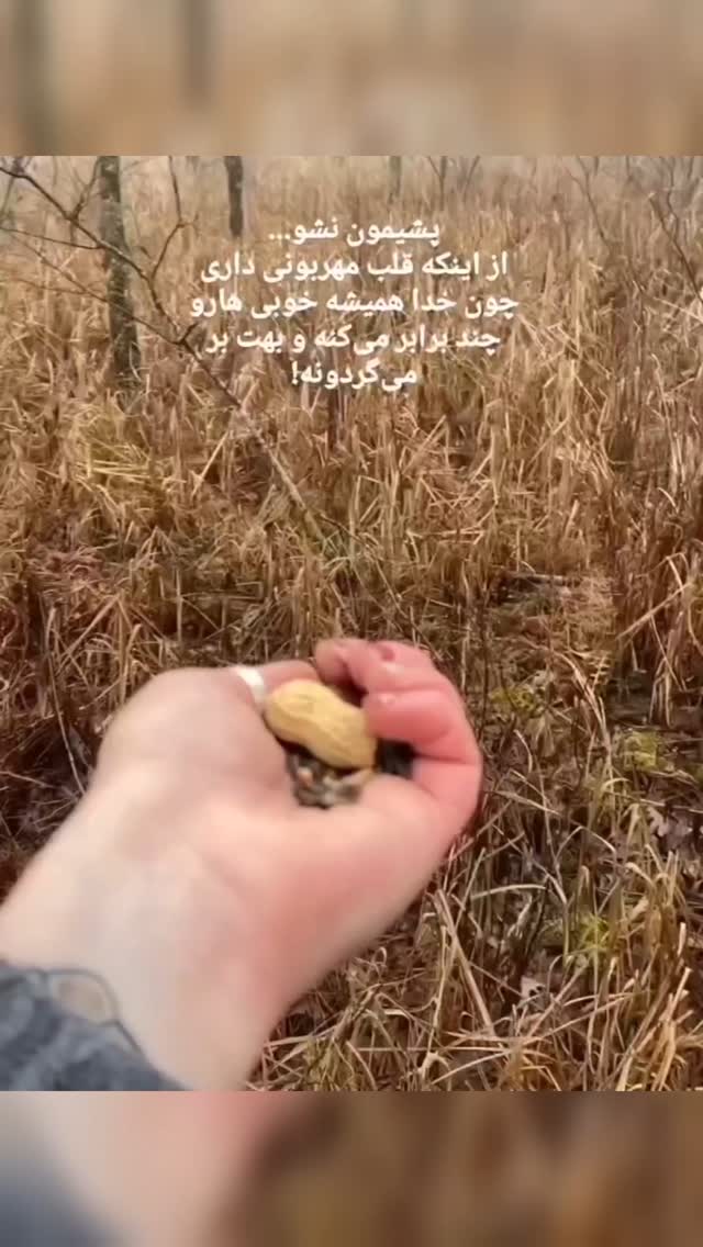  جدید ترین استوری اینستاگرام مختار سائقی