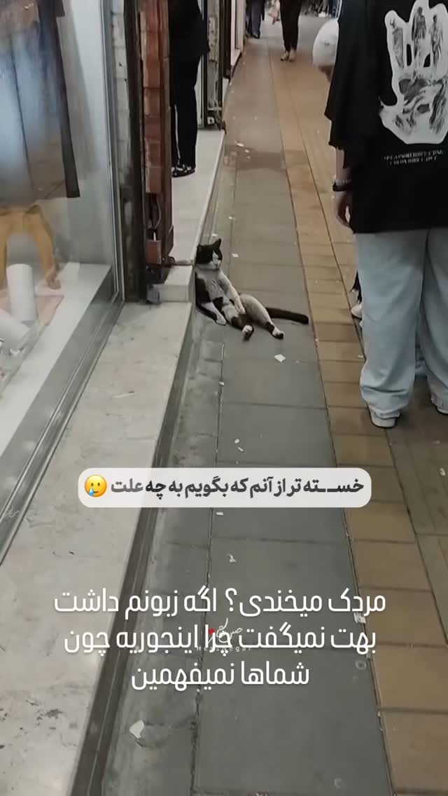  جدید ترین استوری اینستاگرام مختار سائقی