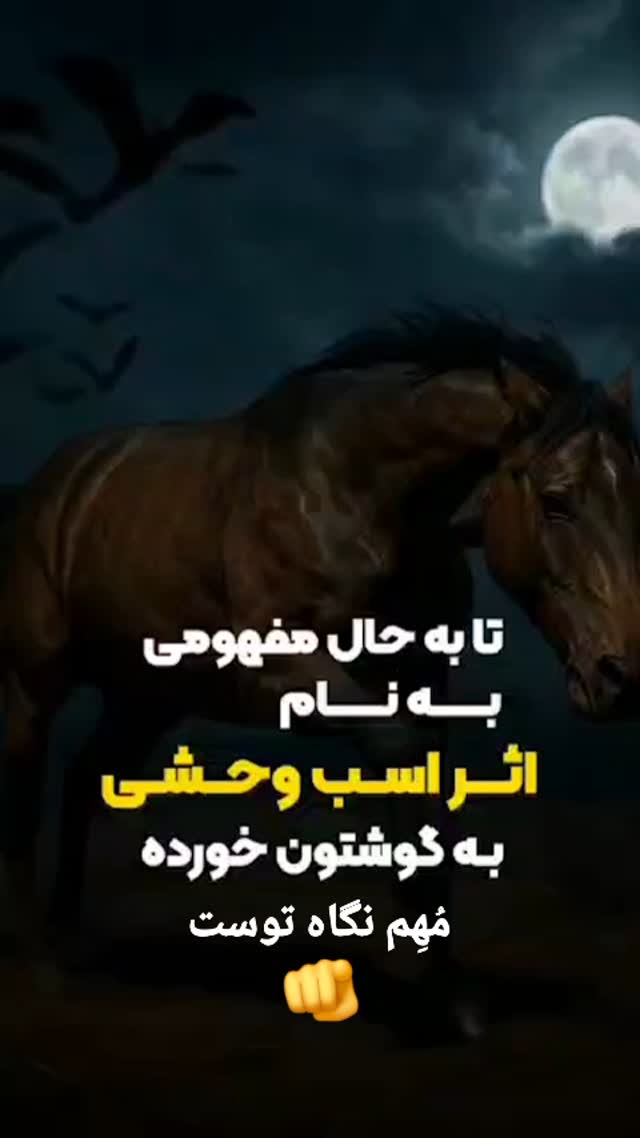  جدید ترین استوری اینستاگرام مختار سائقی