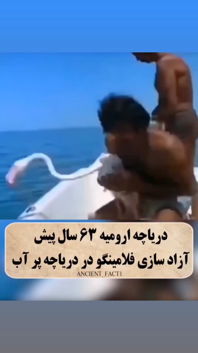  جدید ترین استوری اینستاگرام مختار سائقی