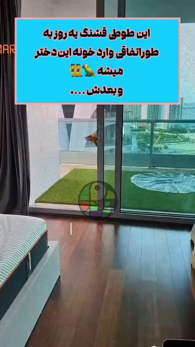  جدید ترین استوری اینستاگرام مختار سائقی