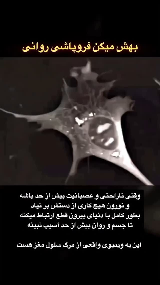  جدید ترین استوری اینستاگرام مختار سائقی