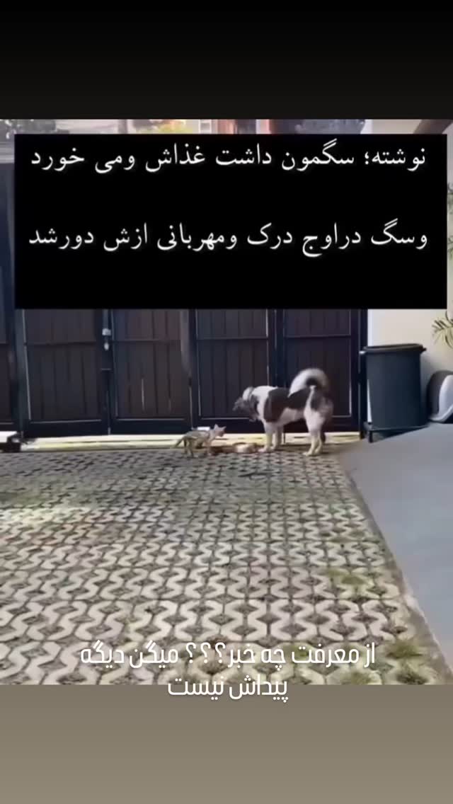  جدید ترین استوری اینستاگرام مختار سائقی